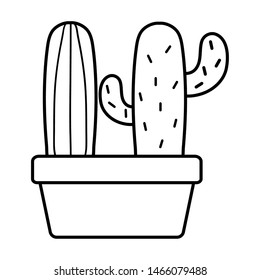 exotic cactus plants in square ceramic pot