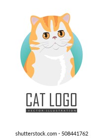 Exotic cat breed. Cute red cat seating flat vector illustration isolated on white background. Purebred pet. Domestic friend and companion animal. For pet shop ad, animalistic hobby concept, breeding