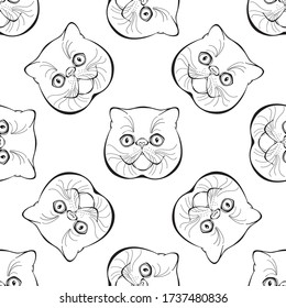 Exotic cat face. Seamless vector pattern. Hand-drawn vector illustration. Animal art background.