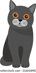 Exotic cat standing, flat icon design, vector illustration