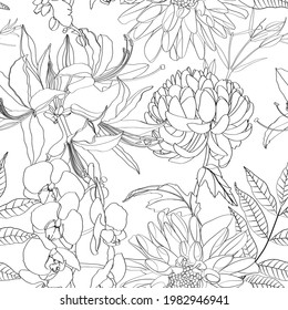 Exotic Chrysanthemum dahlia flowers and leaves illustration. Black white line seamless pattern. White background.