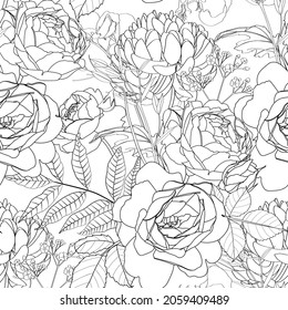 Exotic Chrysanthemum dahlia flowers and leaves illustration. Black white line seamless pattern. White background.