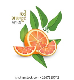 Exotic citrus fruit design on white background. Slice of Red Orange with leaves and blossom of orange plant. Lettering Red Orange Design. Flat style. Vector Illustration.