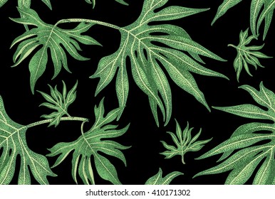 Exotic climbing plant ivy. Vector seamless floral pattern. Branch, leaves on black background. Illustration in vintage style - template design packaging, textile, paper. 