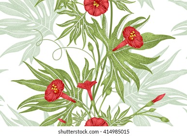 Hiedra de planta de escalada exótica. Vector sin fisuras, de diseño floral. Rama, hojas, flores rojas sobre fondo blanco. Ilustración en estilo vintage - diseño de plantilla de embalaje de lujo, textil, papel. 