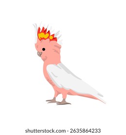 Exotic cockatoo. Cute tropical parrot. Funny amusing jungle bird. Adorable feathered animal. Flat vector illustration isolated on white background