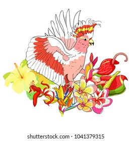 exotic cockatoo parrot pink Inca strelitzia, bird of paradise, hibiscus, plumeria,  anthurium flamingo vector illustration
