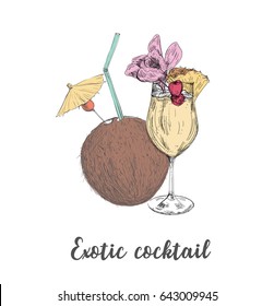 Exotic cocktail coconut pineapple drink. Sketch cocktail vector