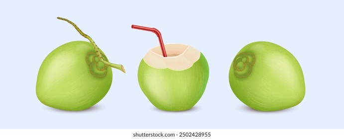 Exotic coconut fruits and drink with straw realistic vector illustration set. Vegan tropical dessert. Delicious food and beverage 3d objects bundle