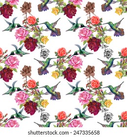 Exotic colibri birds with rose flowers colorful seamless pattern on white background vector illustration