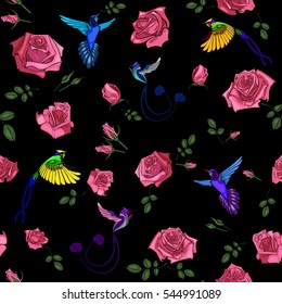 Exotic colibri birds with rose flowers colorful on white background. Seamless pattern. Vector illustration