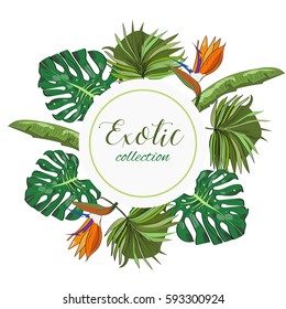 Exotic collection of hand drawn tropic leaves and flowers.