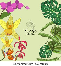 Exotic collection of hand drawn tropic leaves and flowers.