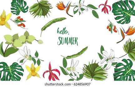 Exotic collection of hand drawn tropic leaves and flowers. Summer template.