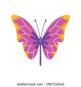 Exotic color butterfly. Hand drawn moth wings or insect. Cartoon tropical animal. Isolated vector icon