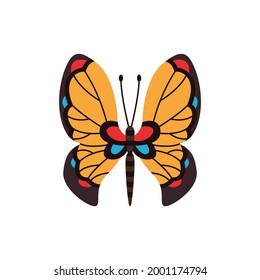 Exotic color butterfly. Hand drawn moth wings or insect. Cartoon tropical animal. Isolated vector icon