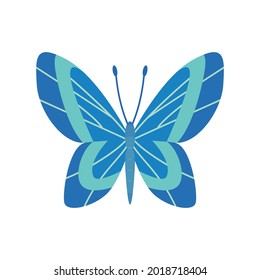 Exotic color butterfly. Hand drawn moth wings or insect. Cartoon tropical animal. Isolated vector icon