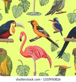 Exotic colorful birds pattern