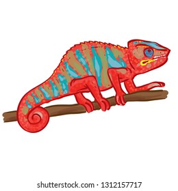 Exotic Colorful Chameleon Cartoon Vector Illustration