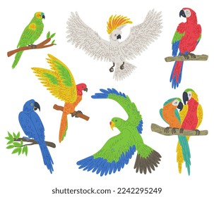 Exotic colorful parrot birds set flat vector illustration isolated on white background. Tropical birds and brazilian parrots collection. Wildlife and fauna stickers.