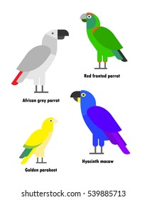 Exotic colorful parrots. Set of birds