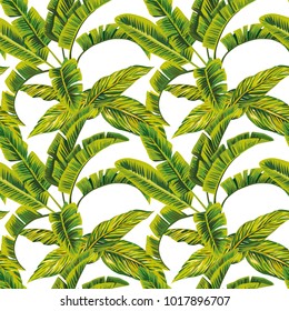 Exotic composition banana leaves seamless pattern on the white background. Fabric vector beach wallpaper