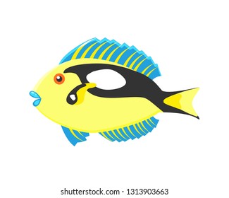 Exotic  coral fish vector illustration isolated on white background.