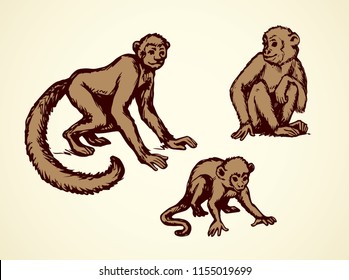 Exotic cute young little humanoid catarrhini haplorhine Hominoidea kid pet isolated on white backdrop. Freehand line black ink hand drawn picture emblem logo sketchy in art scribble style pen on paper