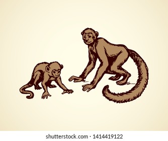 Exotic cute young little humanoid catarrhini haplorhine Hominoidea kid pet isolated on white backdrop. Freehand line black ink hand drawn picture emblem logo sketchy in art scribble style pen on paper