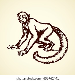 Exotic cute young little humanoid catarrhini haplorhine Hominoidea kid pet isolated on white backdrop. Freehand outline black ink hand drawn picture emblem sketchy in art scribble style pen on paper