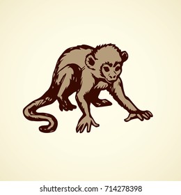 Exotic cute young little humanoid catarrhini haplorhine Hominoidea kid pet isolated on white backdrop. Freehand outline black ink hand drawn picture emblem sketchy in art scribble style pen on paper