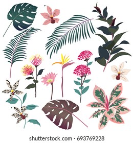 Flores tropicales oscuras exóticas, hojas de palma, hojas de selva, pájaro de fondo floral vectorial del paraíso