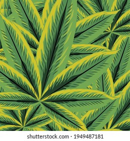 Exotische und detaillierte Cannabisblattmuster 
