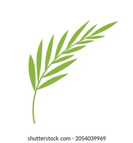 Exotic doodle leaf. Element. Simple vector palm leaf.