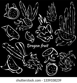 Exotic dragon fruit. All elements are isolated. Sketchy style illustration for menu, postcard, flyer, cafe.
