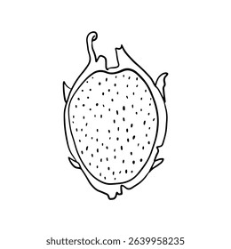 Exotic dragon fruit sketch. Hand-drawn Pitaya illustration.  Doodle tropical pitahaya. 