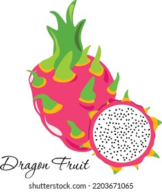 Exotic Dragon Fruit. Vector graphics. Exotic fruits
