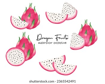 Exotic dragon fruits in this watercolor collection. Juicy, sweet, and organic, these illustrations capture the essence of tropical summer. Perfect for your design projects.