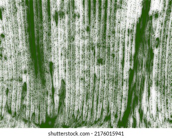 vector de fondo de hoja de plátano exótico seco para múltiples fines 