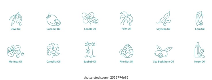 Exotic and Essential Oils Mega Vector Icon Set: Olive, Coconut, Canola, Palm, Soybean, Corn, Moringa, Camellia, Baobab, Pine Nut, Sea Buckthorn, Neem