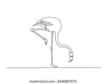 Exotic famingo bird single outline illustration. Continuous line art drawing of flamingo bird for summer concept.