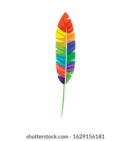 exotic feather bird isolated icon vector illustration design