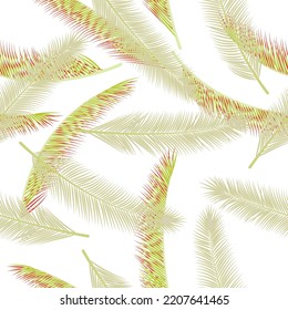 Exotic feather plumage vector pattern. Cute wrapping paper. Airy natural feather plumage wallpaper seamless pattern.