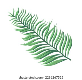 Exotic fern flower, lush greenery and leafage. Isolated houseplant or tropical botany decoration. Flora bushes or branches with green leafage. Rainforest or forest decor. Vector in flat style