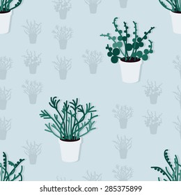Exotic fern in flowerpots vector background