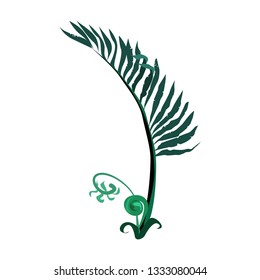 Exotic fern illustration.Nature, flora, summer. Nature plants concept. Vector illustration can be used for topics like jungle, nature, botany