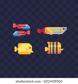 Exotic Fish Cartoon Set. Cute Fishes Flat Style Characters Isolated Vector Illustration. Element Design For Children's Mobile Application. Video Game Sprite. Pixel Art.