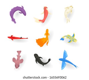 Exotic fish flat vector illustrations set. Multicolored sea animals stickers pack. Underwater fauna isolated cliparts collection on white background. Ocean wildlife. Marine aquarium
