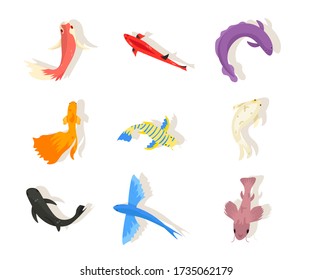 Exotic fish flat vector illustrations set. Multicolored sea animals stickers pack. Underwater fauna isolated cliparts collection on white background. Ocean wildlife. Marine aquarium