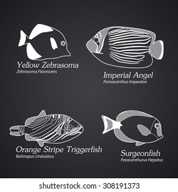 Exotic fish in linear style. Part 1